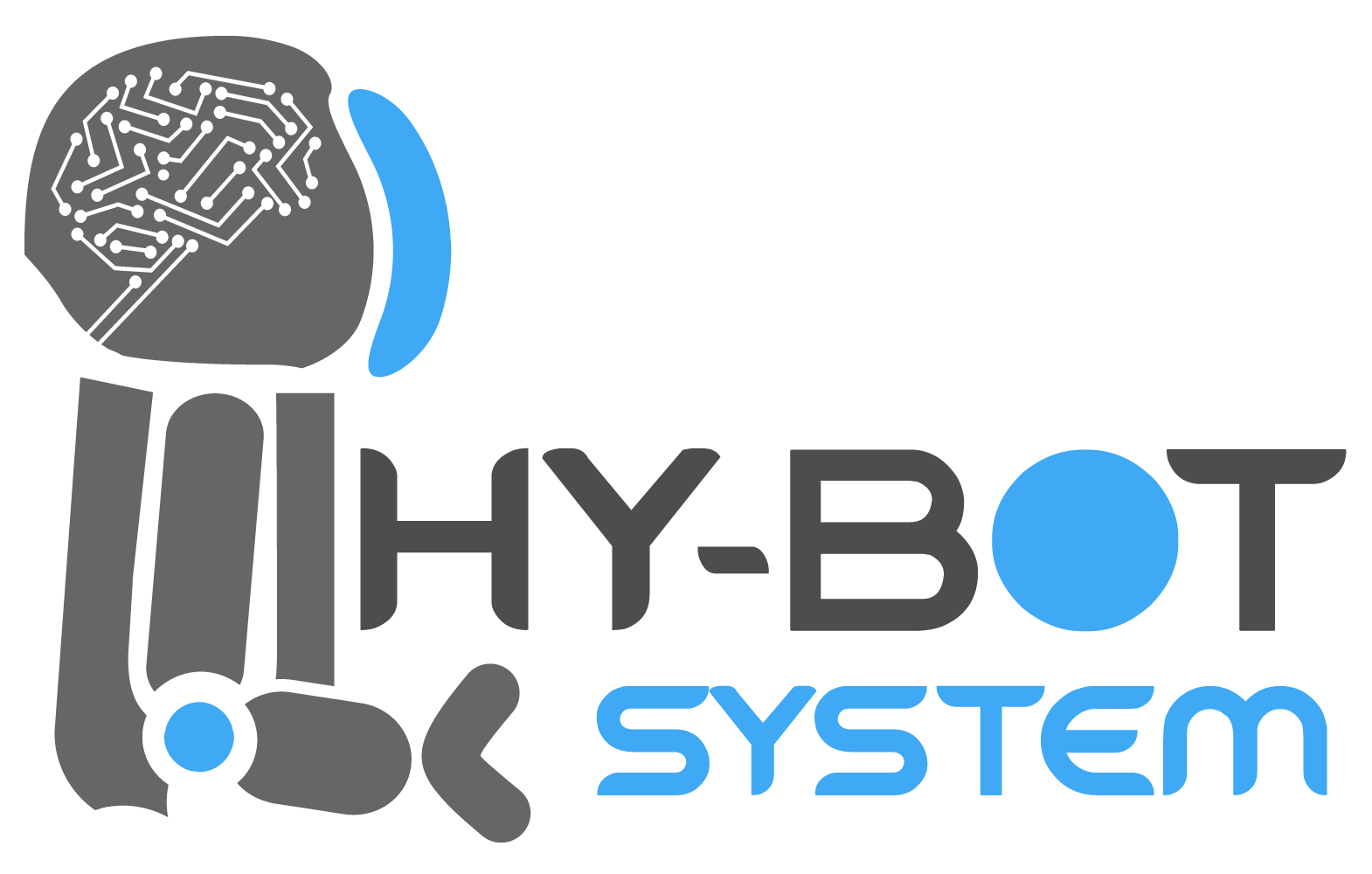 hybotsystem
